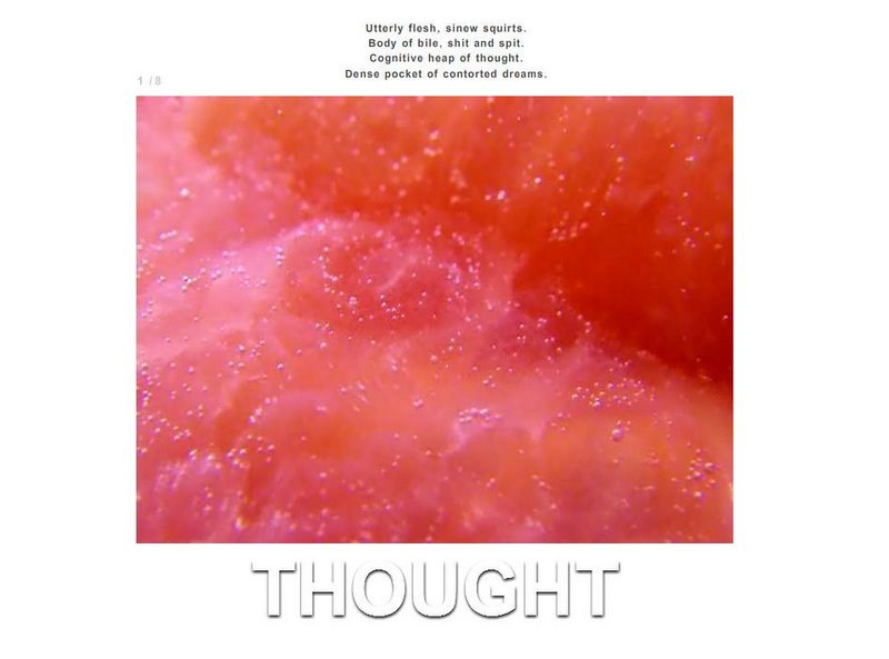 flesh - screenshot