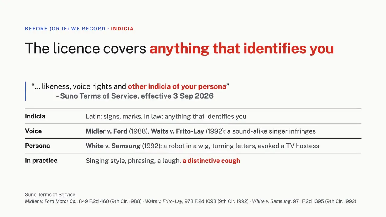 The licence covers anything that identifies you: indicia, voice, persona